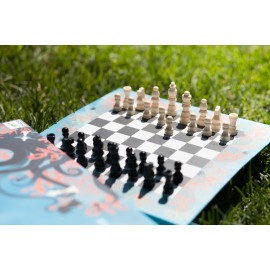Шахматы Djeco деревянные (Франция) артикул 05216